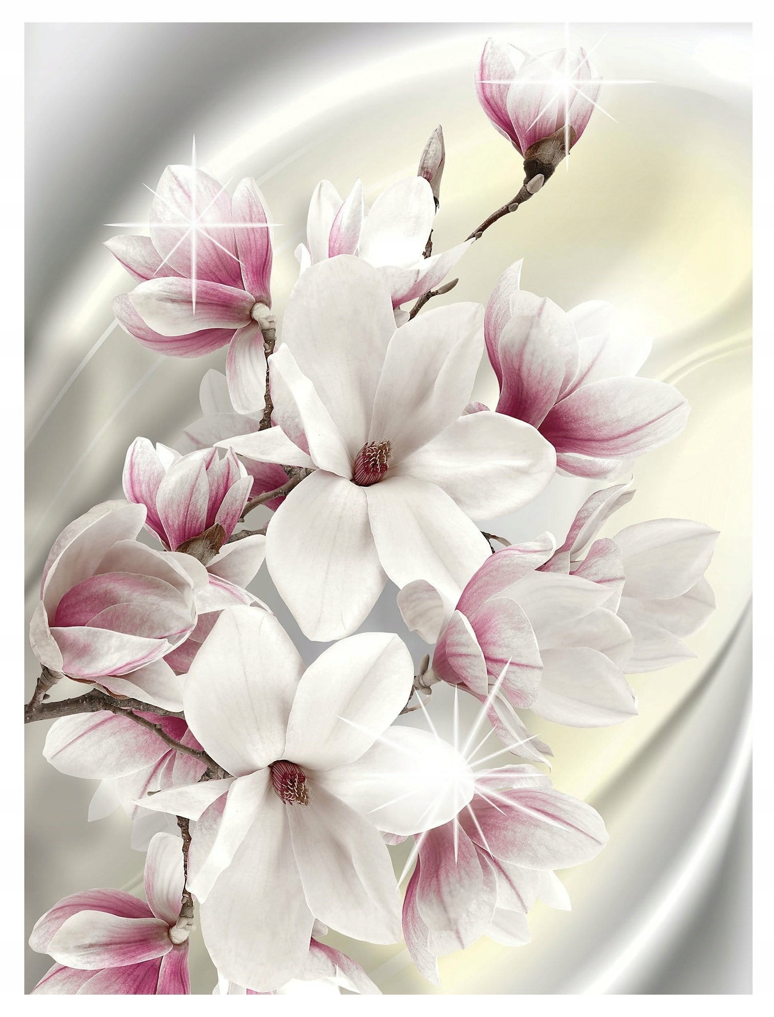 Vliesová fototapeta Magnolie kvetoucí pastelové pozadí 184x254 lepidlo