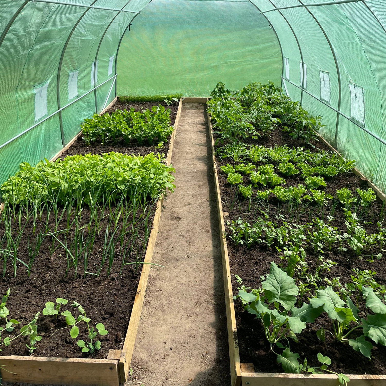 MOCNY TUNEL OGRODOWY FOLIOWY SZKLARNIA FOLIA NAMIOT UV 2x3x2m WIELOSEZONOWY EAN (GTIN) 5904347190316