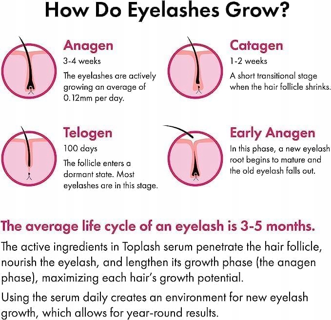 TOPLASH XL Serum Do Rzęs I Brwi Naturalne Peptydy 6 ml — miniatura 6