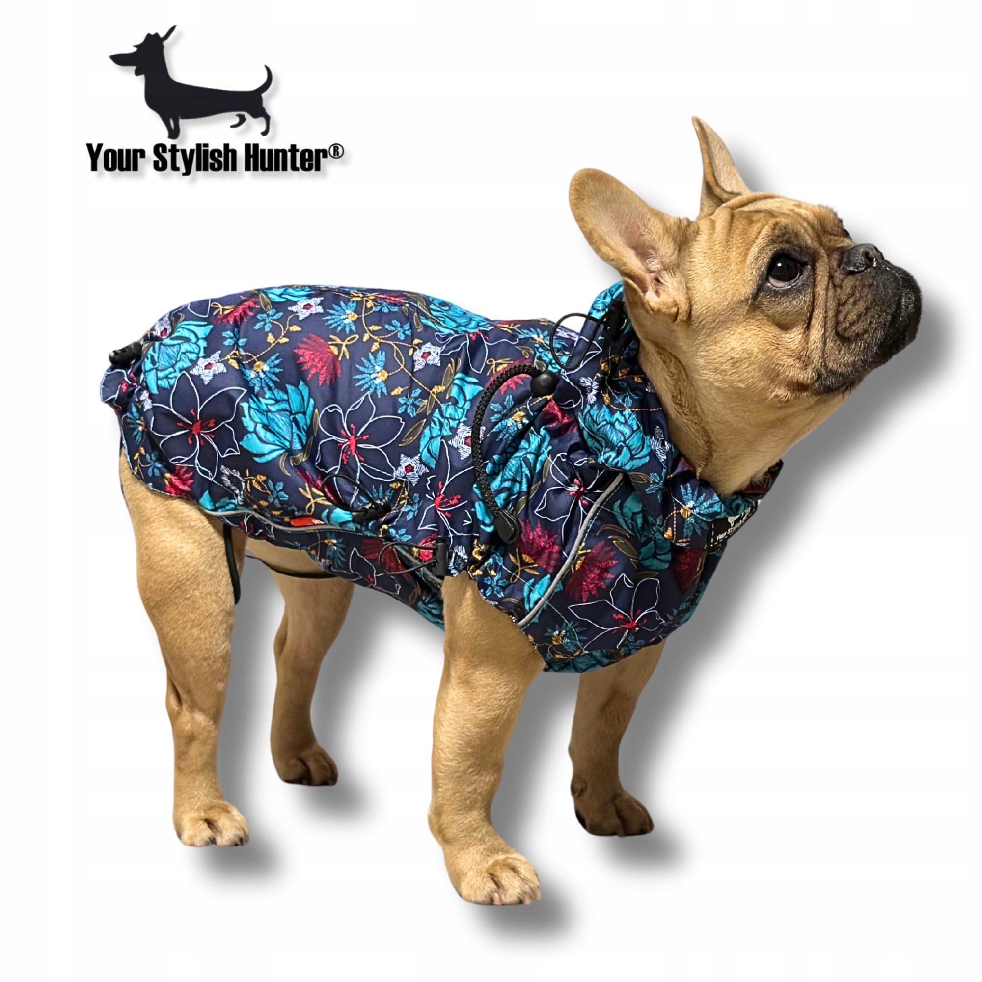 Levně Pláštěnková bunda obleček pro psa francouzského buldočka XL