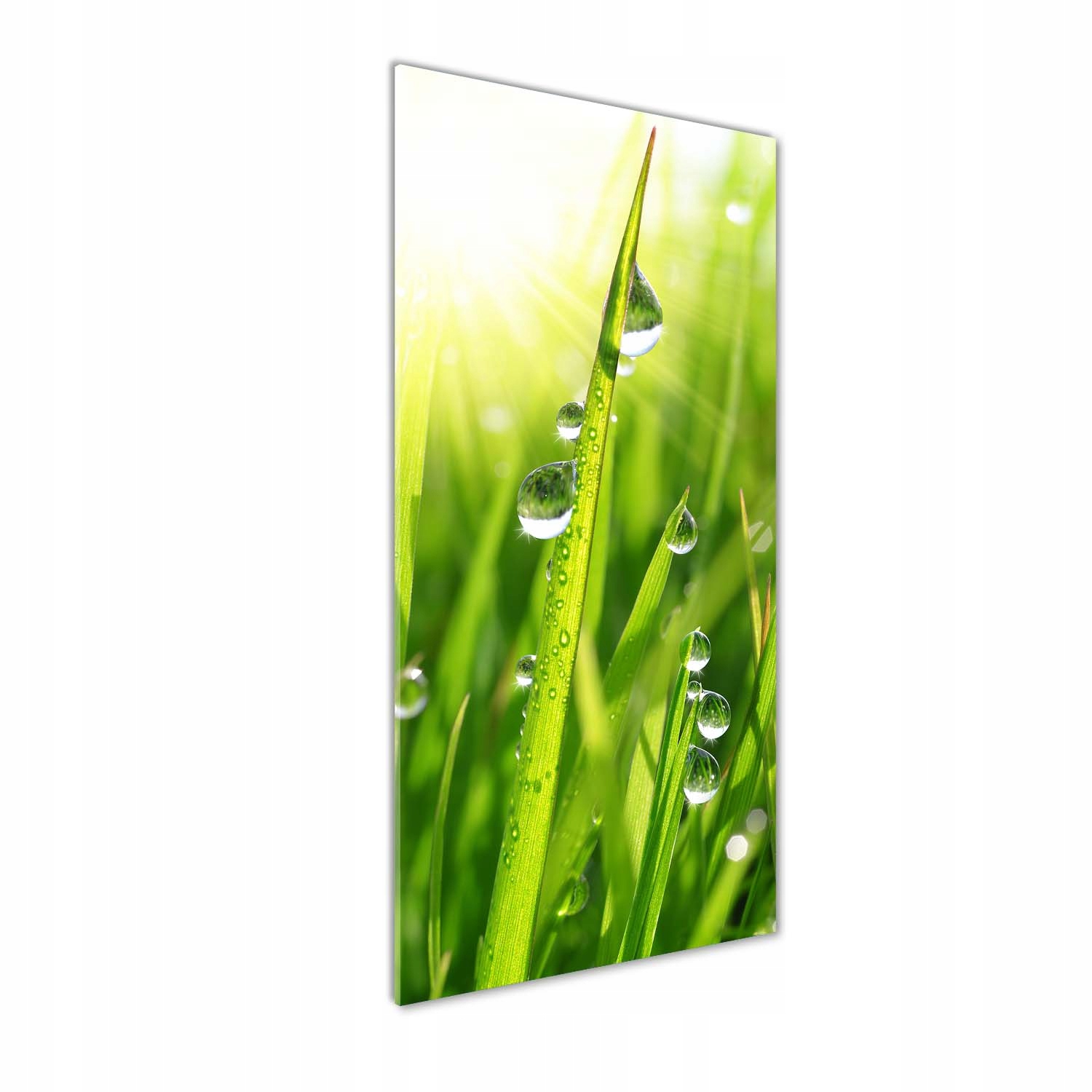 

Nowoczesny fotoobraz akrylowy Źdźbła trawy 50x125