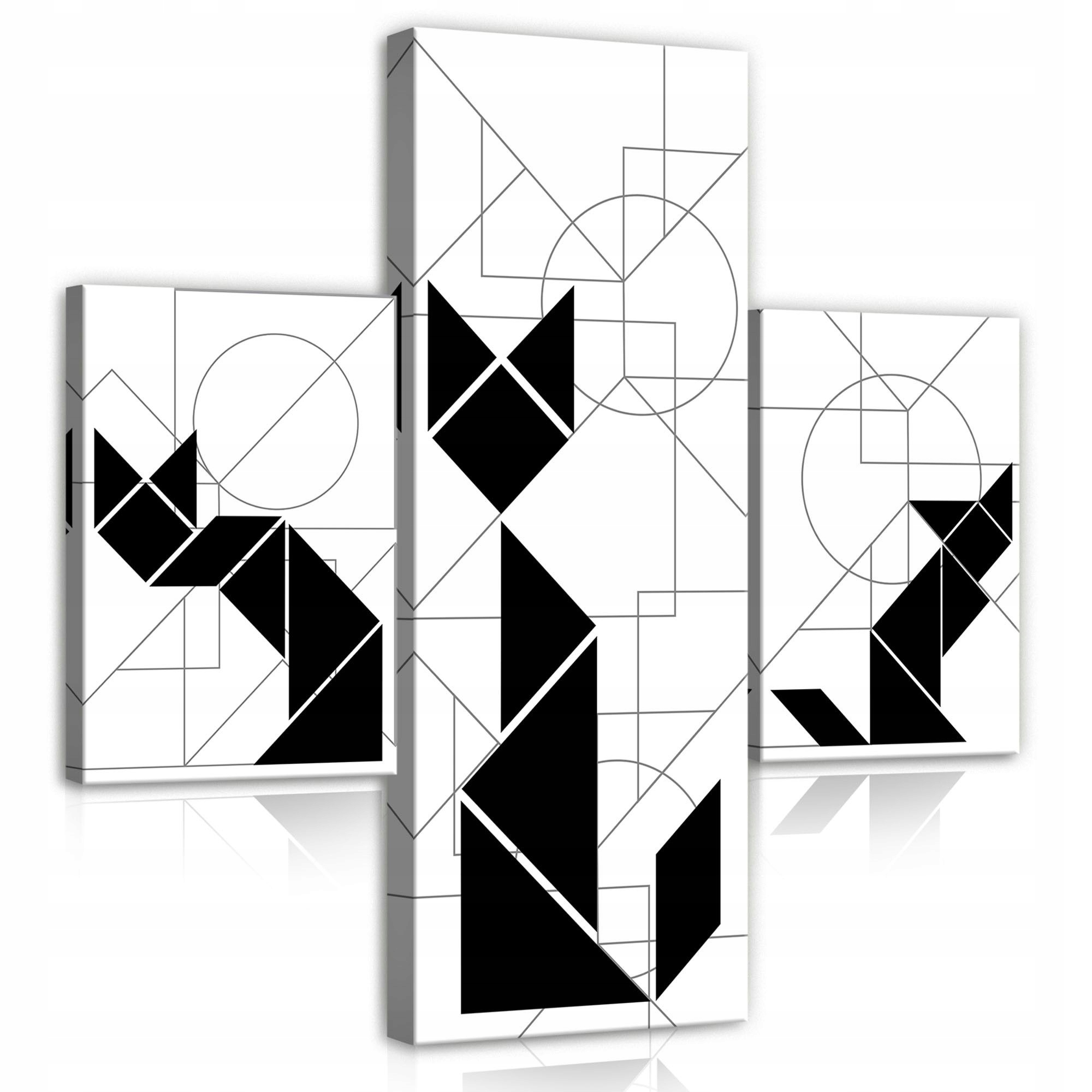 Obraz 80x80 Geometrická abstrakce minimalismus kočky lišky linie umění