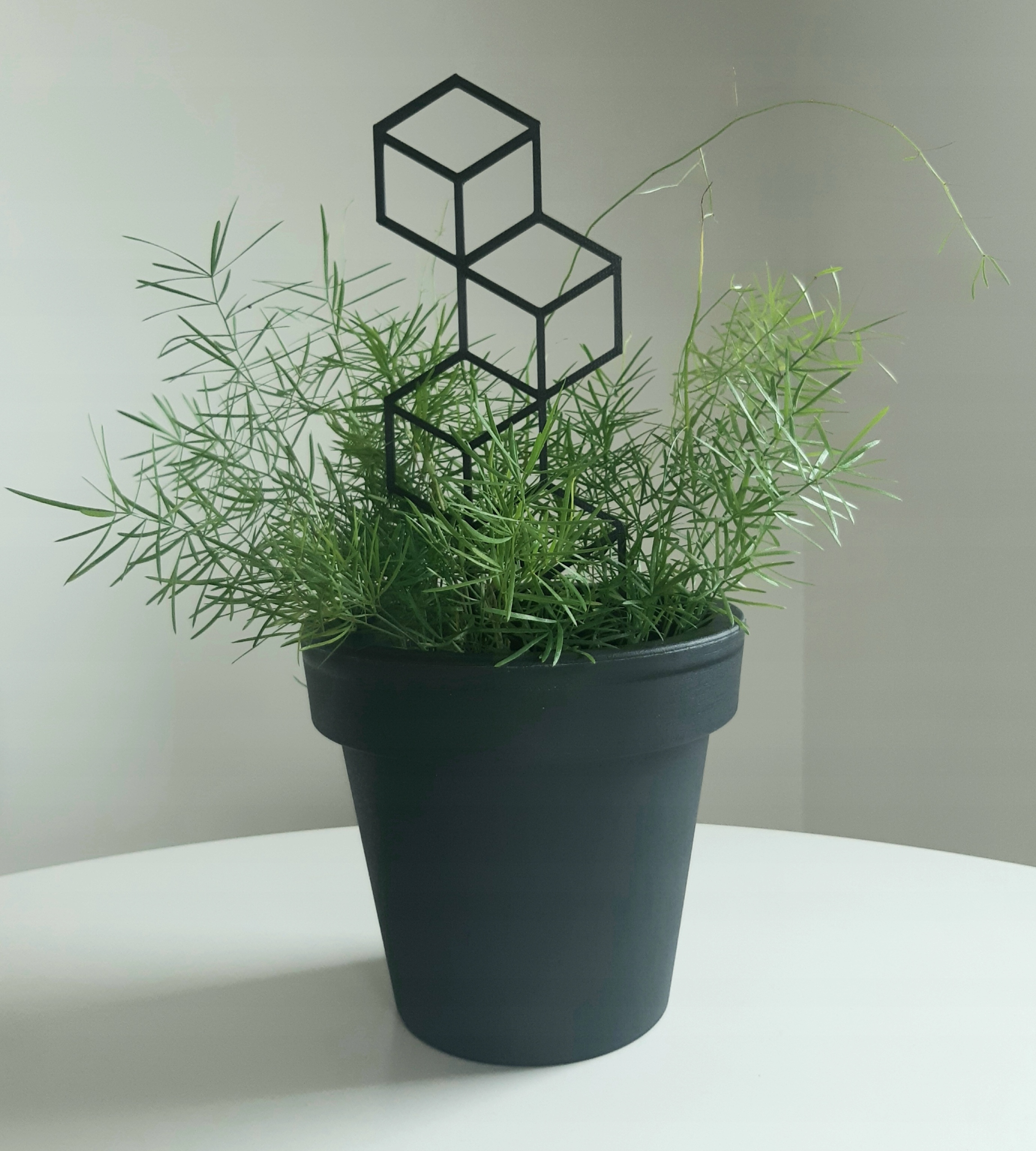 PODPÓRKA DRABINKA PERGOLA DO KWIATÓW ROŚLIN CUBE Marka inna