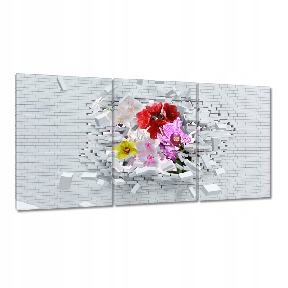 

Obrazy 120x60 Kwiatowe uderzenie Mur