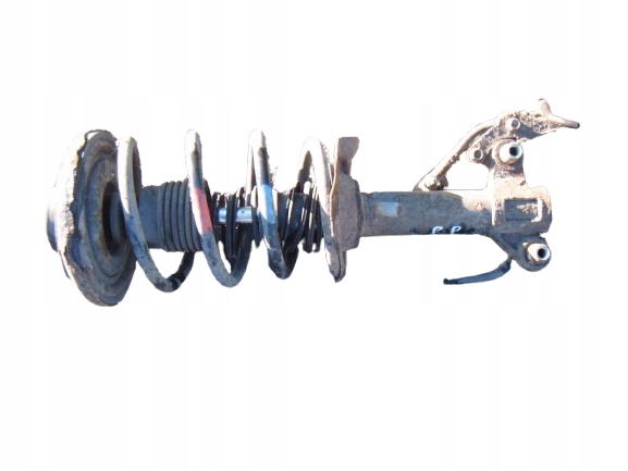 NISSAN PRIMERA P12 02-07 2.2 DCI AMORTYZATOR SPRĘŻYNA PRAWY PRZÓD