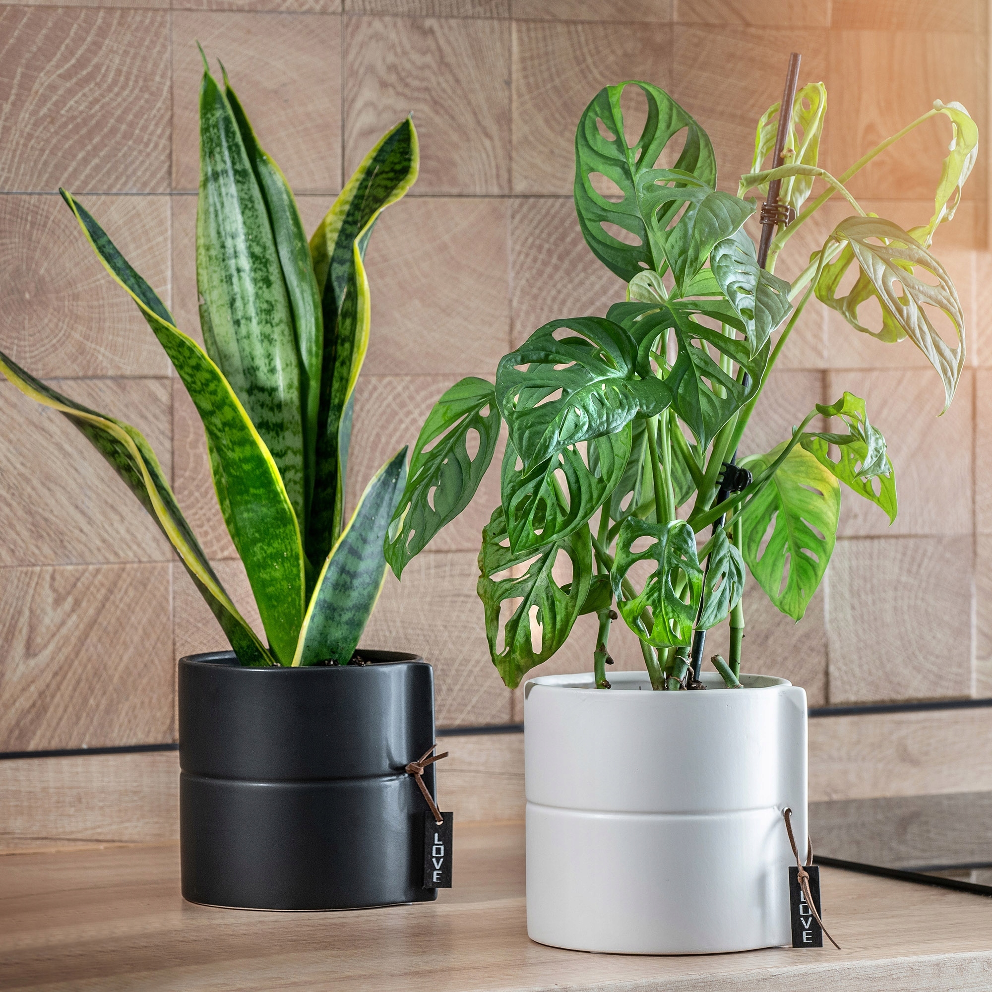 DONICZKA OSŁONKA DONICA CERAMICZNA KOLORY 17CM Kolor biały