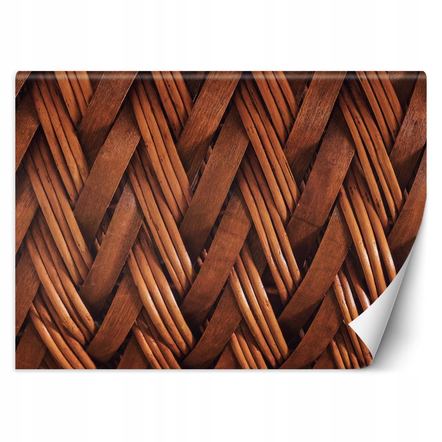 Fototapeta 3D proutěné proutí 300x210