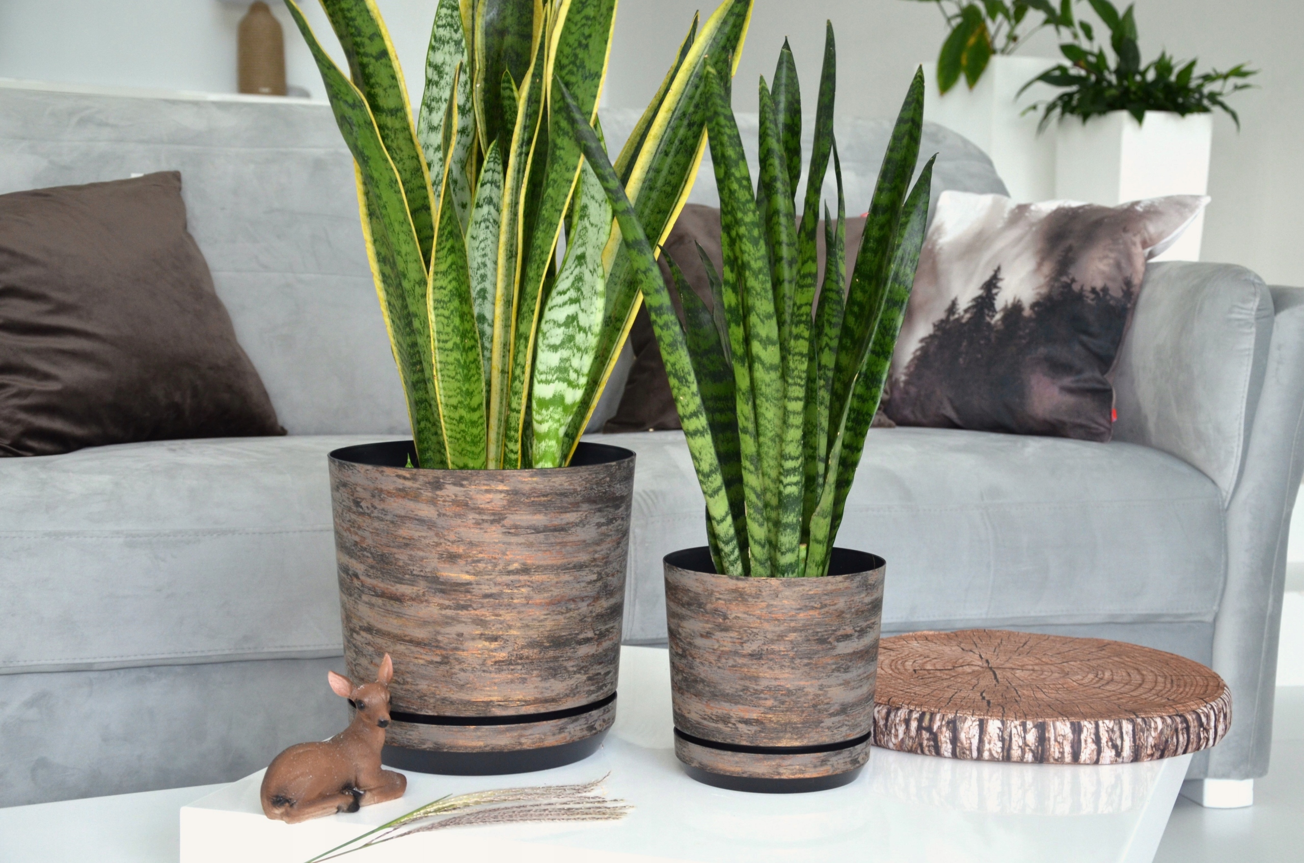 18 RDZAWA KORA Doniczka z podstawką barwy lasu Wysokość produktu 17.8 cm