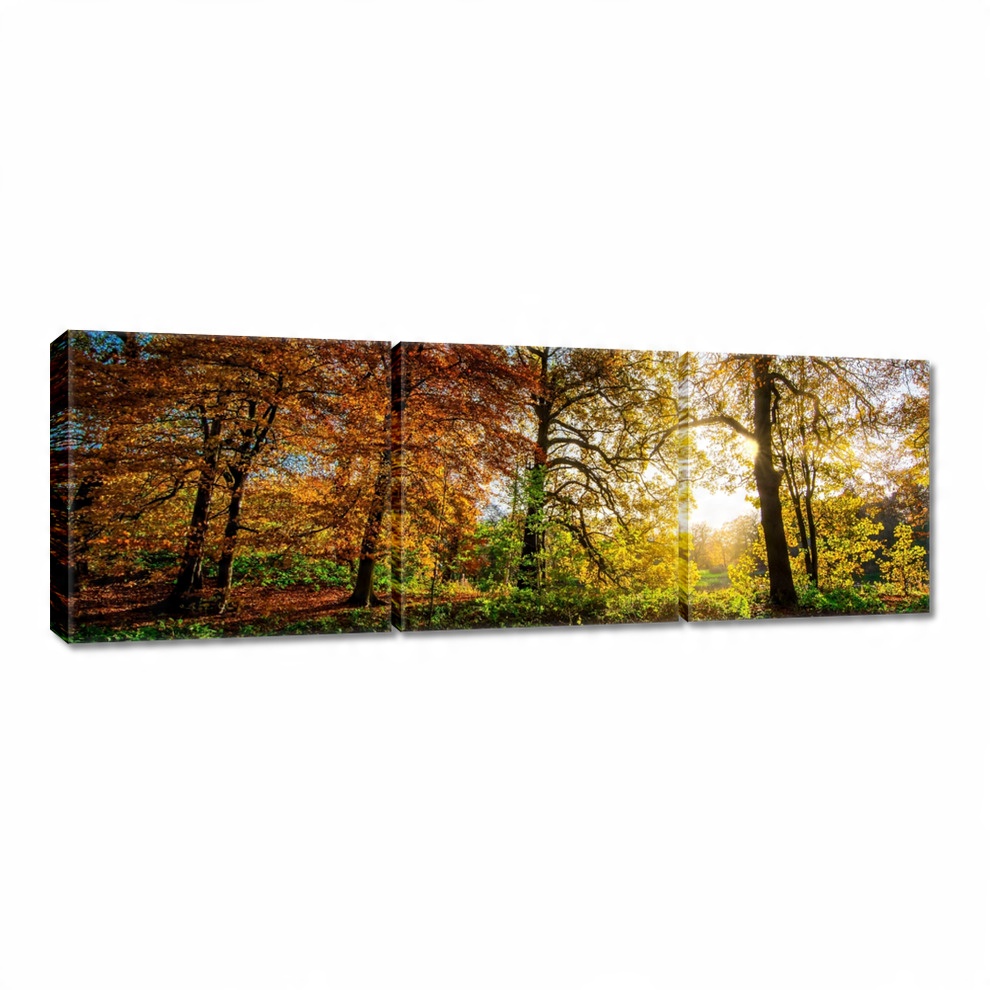 

Obrazy 60x20 Pejzaż Krajobraz