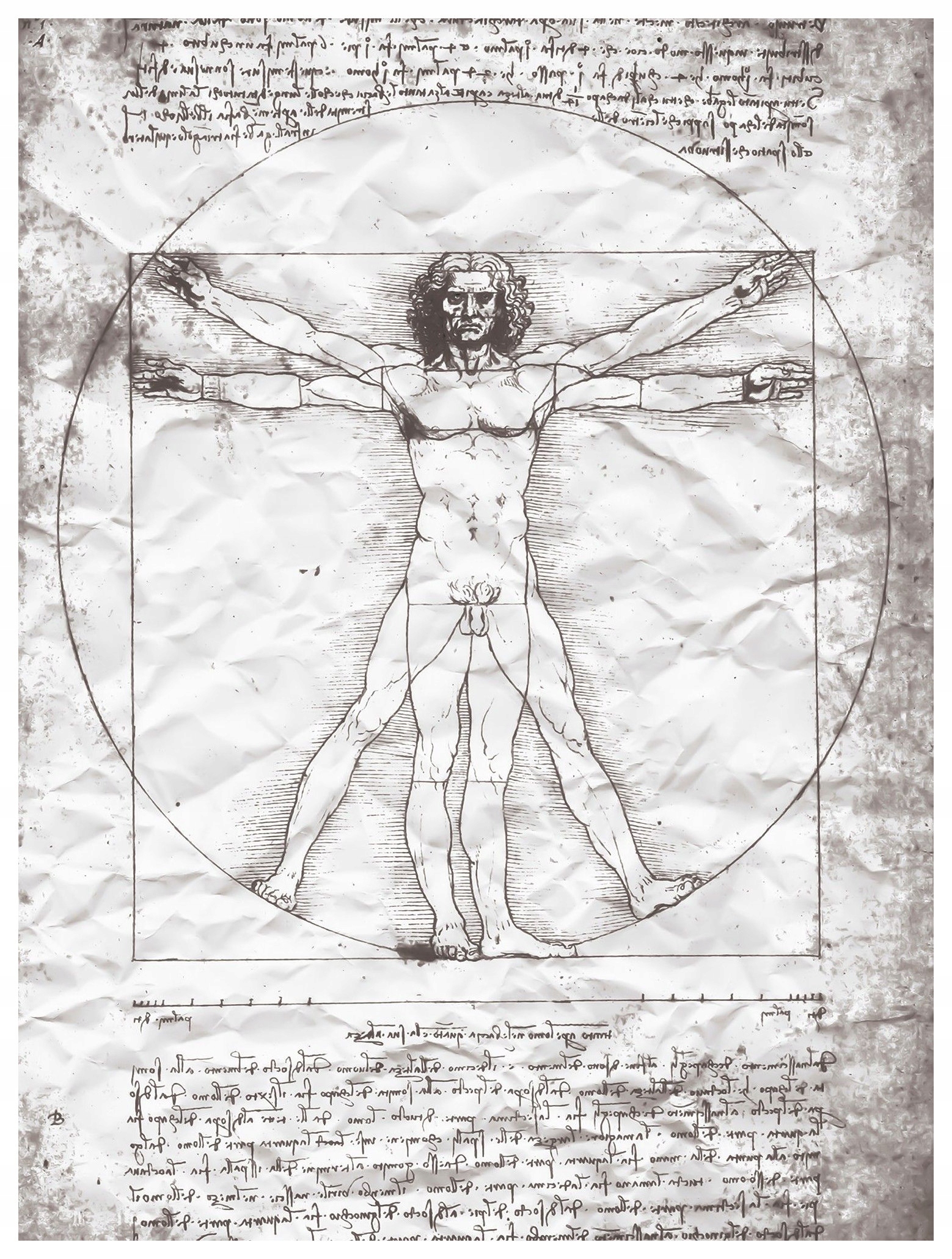 Fototapeta Vitruviánský muž, vinylová geometrie 184x254 lepidlo