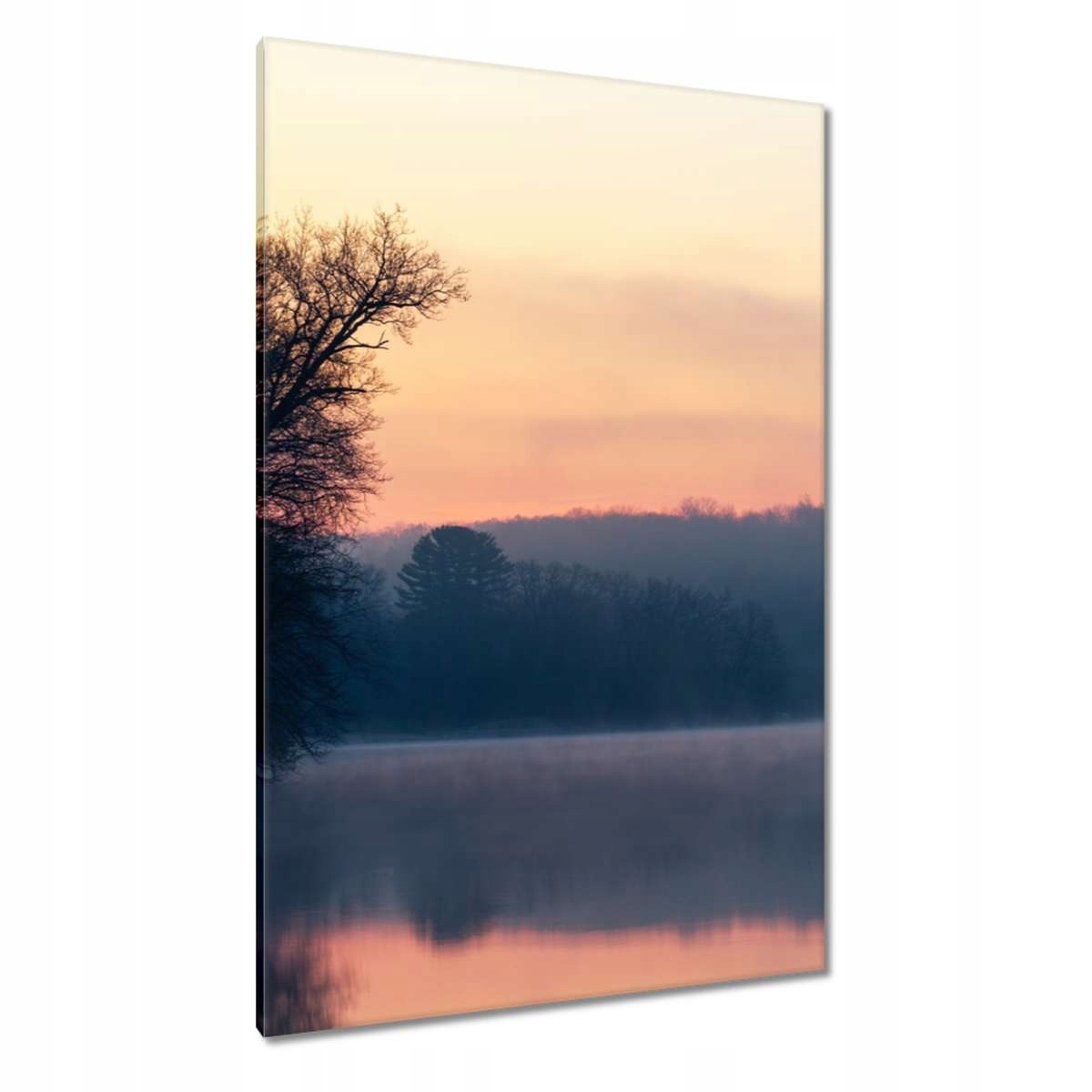 Obrazy 80x120 Zima Mlha Les Jezero