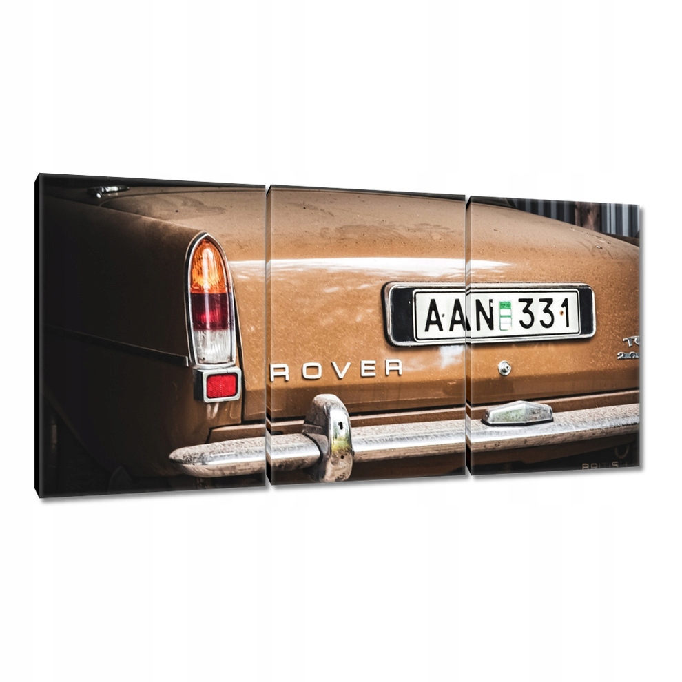 

Obrazy 120x60 Rover Samochód Auto