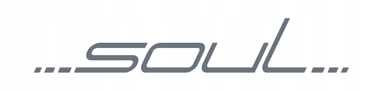 Torba do wózka dziecięcego EasyGo Soul MATA ZESTAW Wysokość 37 cm