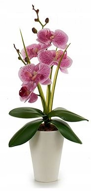 

Storczyk sztuczne kwiaty Orchidea 37 cm Hiszpania