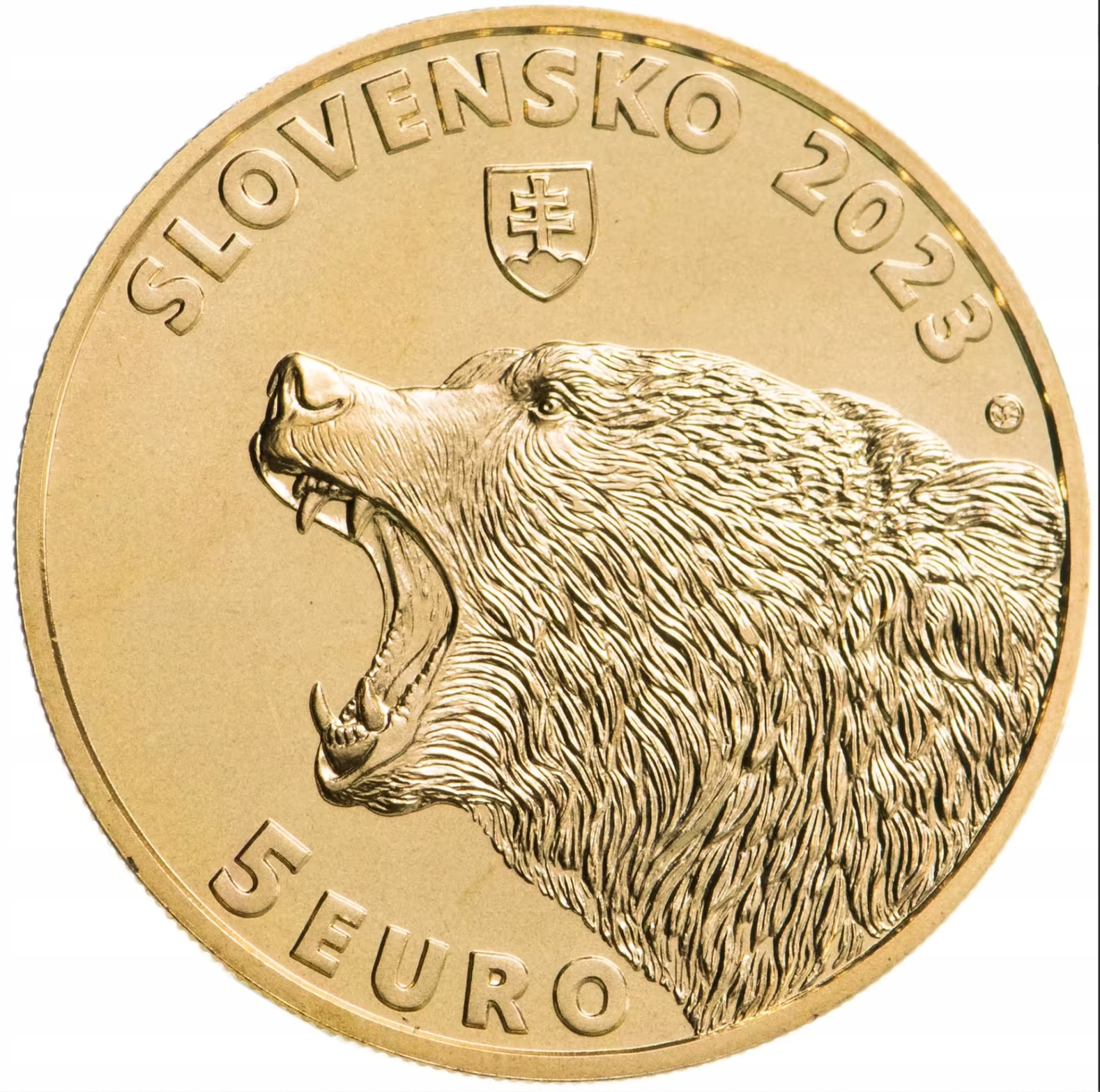 SŁOWACJA 5 EURO 2023 UNC NIEDŹWIEDŹ