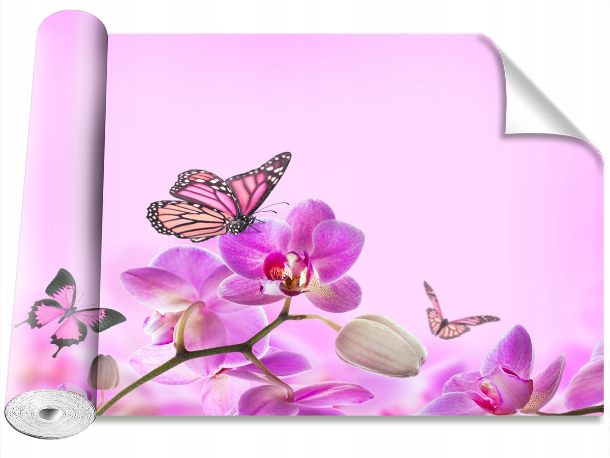

Tapeta Samoprzylepna Orchidea Motyl 152x104
