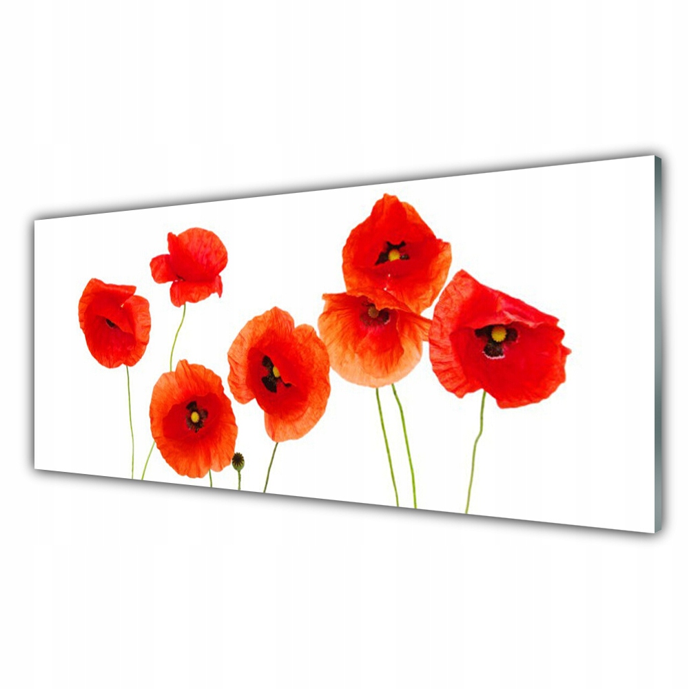 

Obraz akryl z nadrukiem 125x50 Maki Roślina Natura