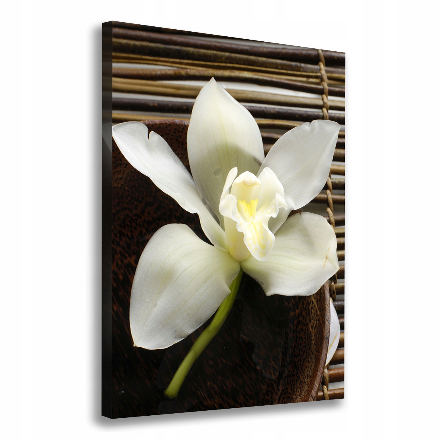 

Foto obraz na płótnie do salonu Orchidea 70x100 cm