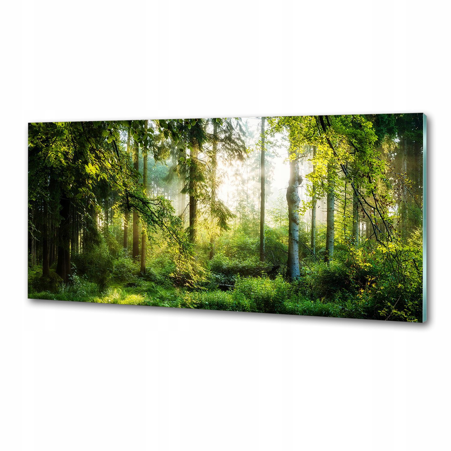 Panel do kuchyne Ranné slnko les 125x50 Lepidlo