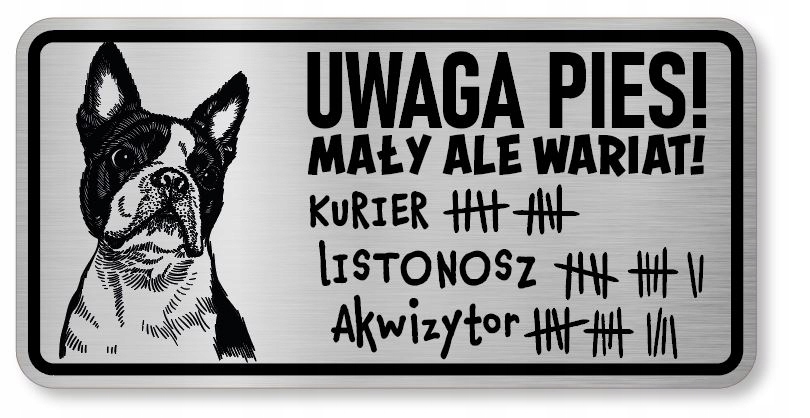 

Tabliczka uwaga pies śmieszna Boston Terrier