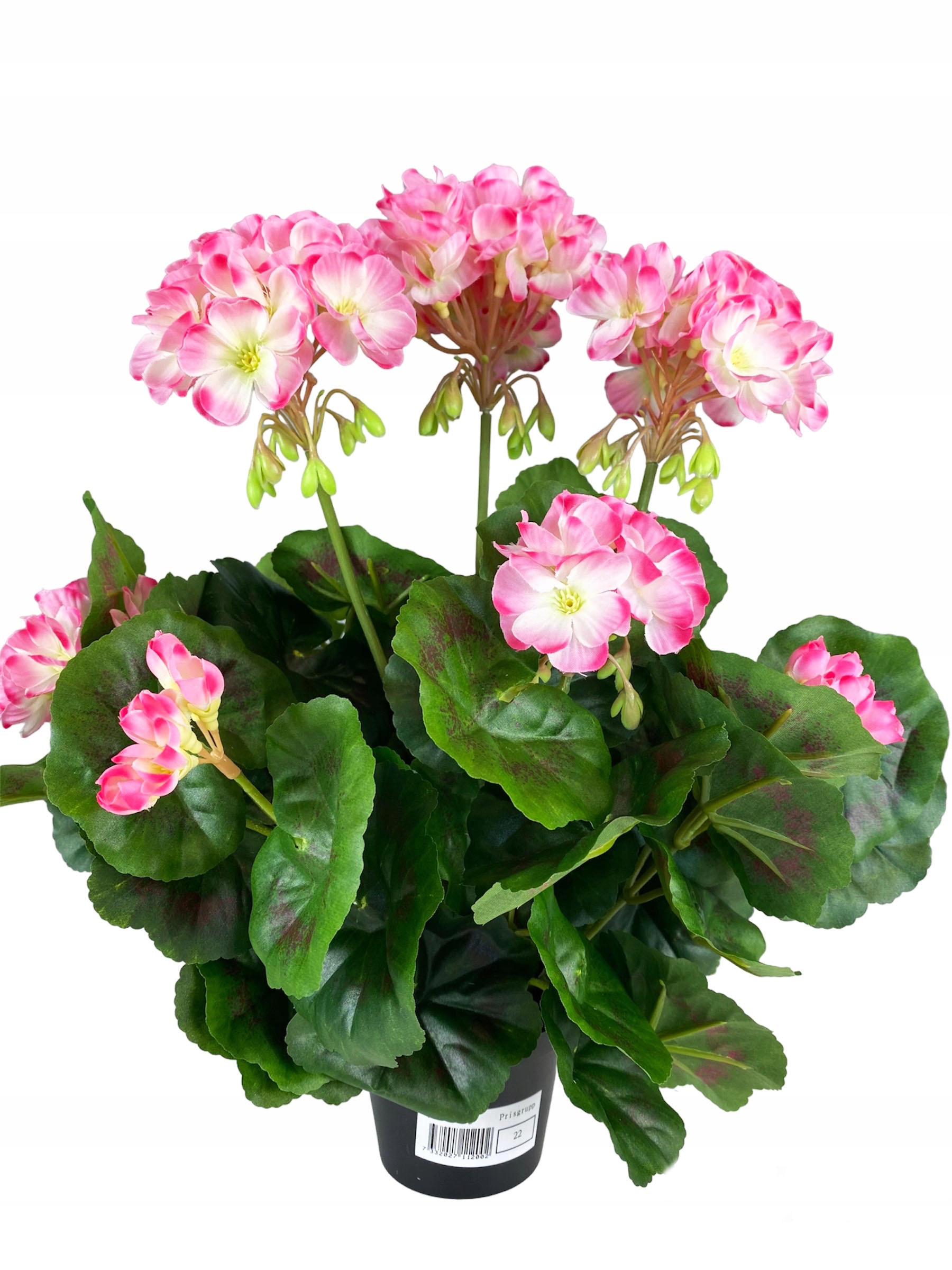 

Pelargonia Sztuczna Różowa Bia W Doniczce Jak Żywa