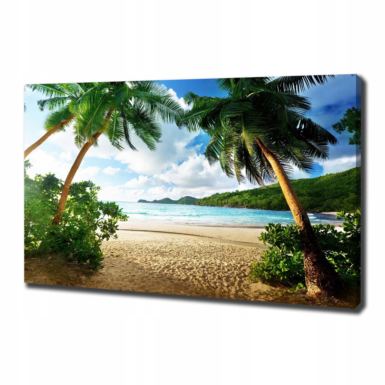 

Foto obraz na płótnie Palmy na plaży 100x70 cm