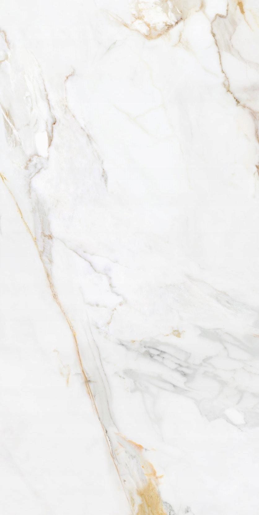 MARSHALL GOLD POLISHED 60x120 - ECOCERAMIC GAT.1