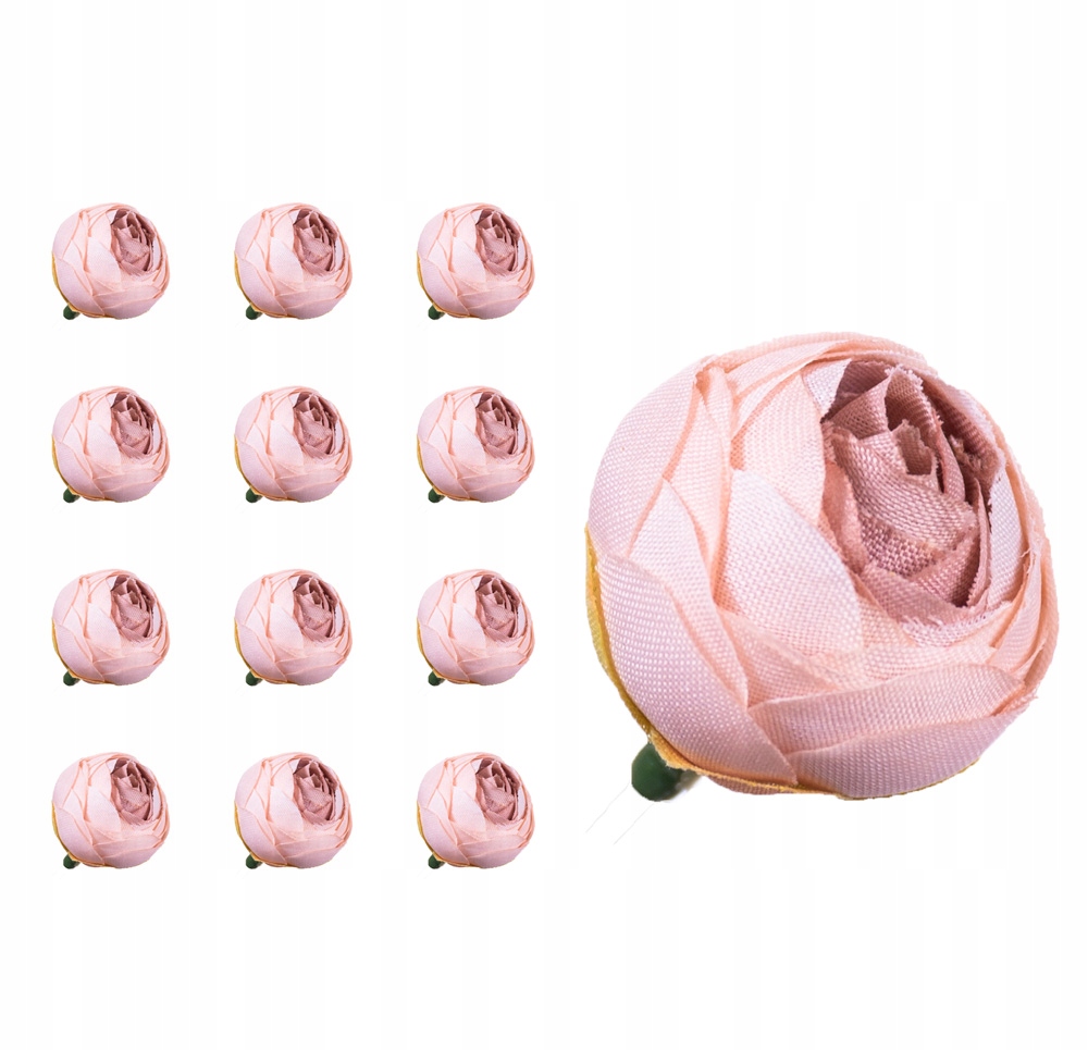 

Kamelka pełnik główka capuccino 12 sztuk wyrobowa