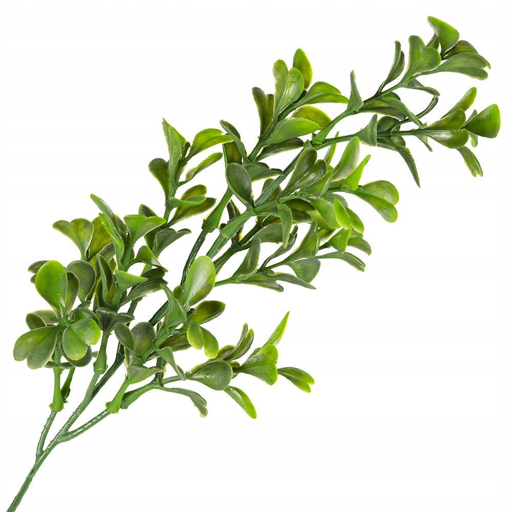 

Borówka Sztuczna Gałązka Bukszpanu Na Święconkę