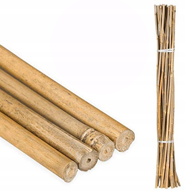 Tyczki bambusowe podpory do roślin 60cm 10 szt. Rodzaj tyczka
