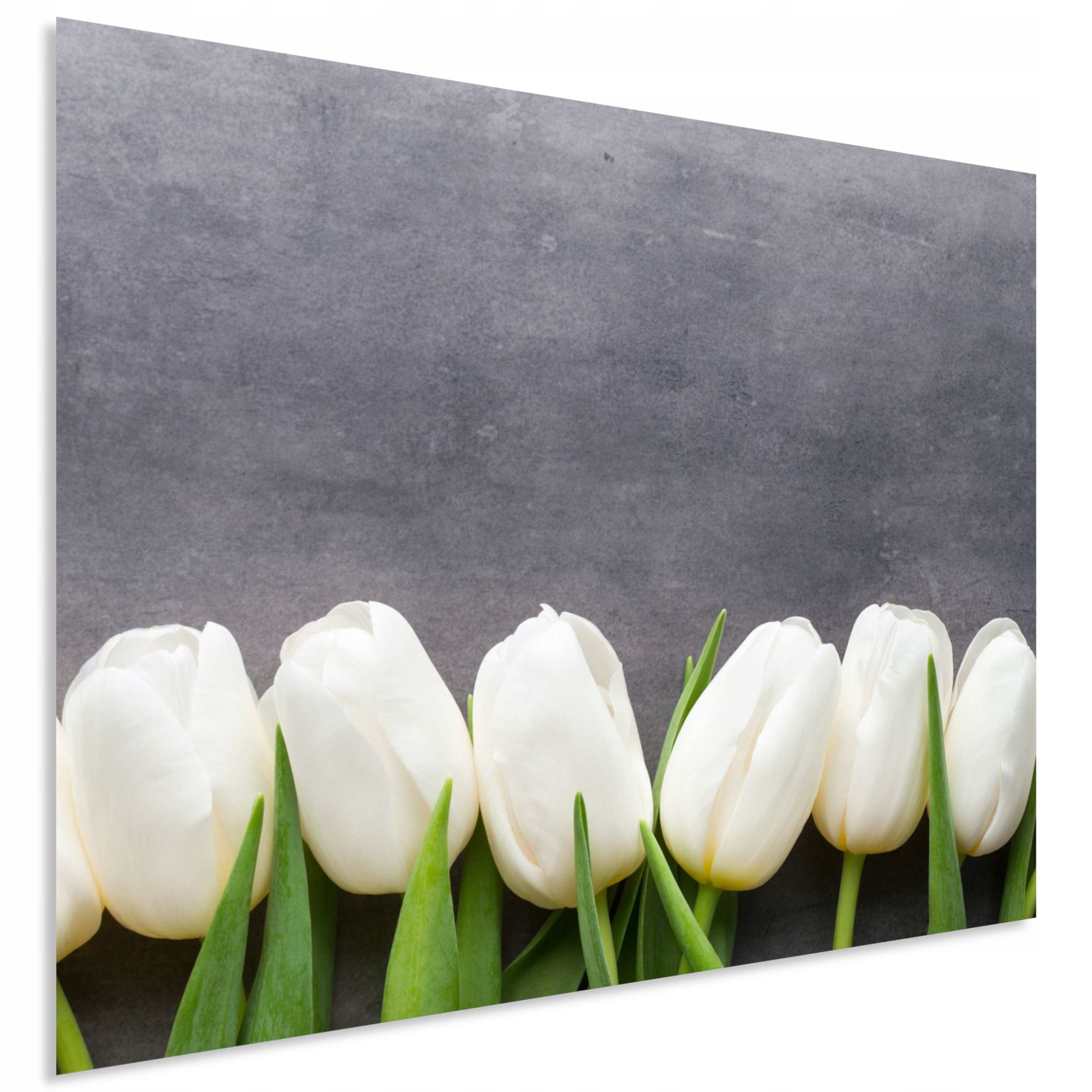 Sklenený panel do kuchyne s grafikou tulipány 60x50 cm