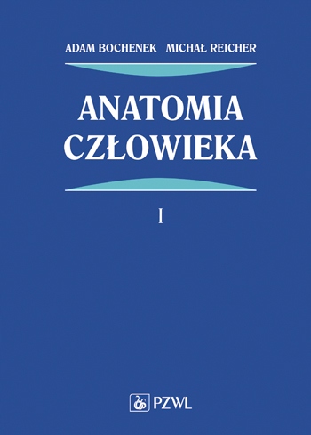 

Anatomia Człowieka Tom 1 Adam Bochenek Nowa
