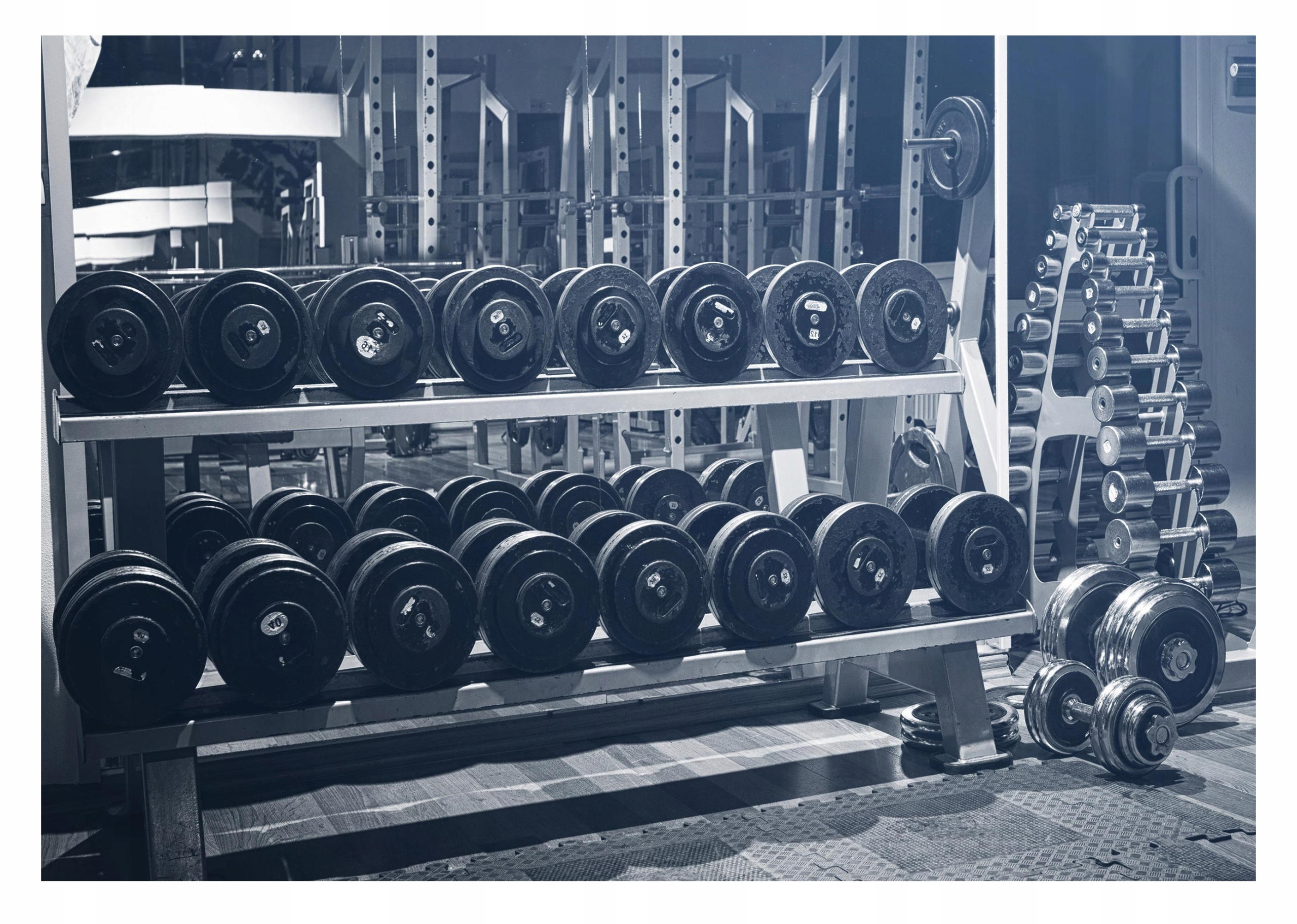 Fototapeta Do Posilňovne Tapeta 368x254