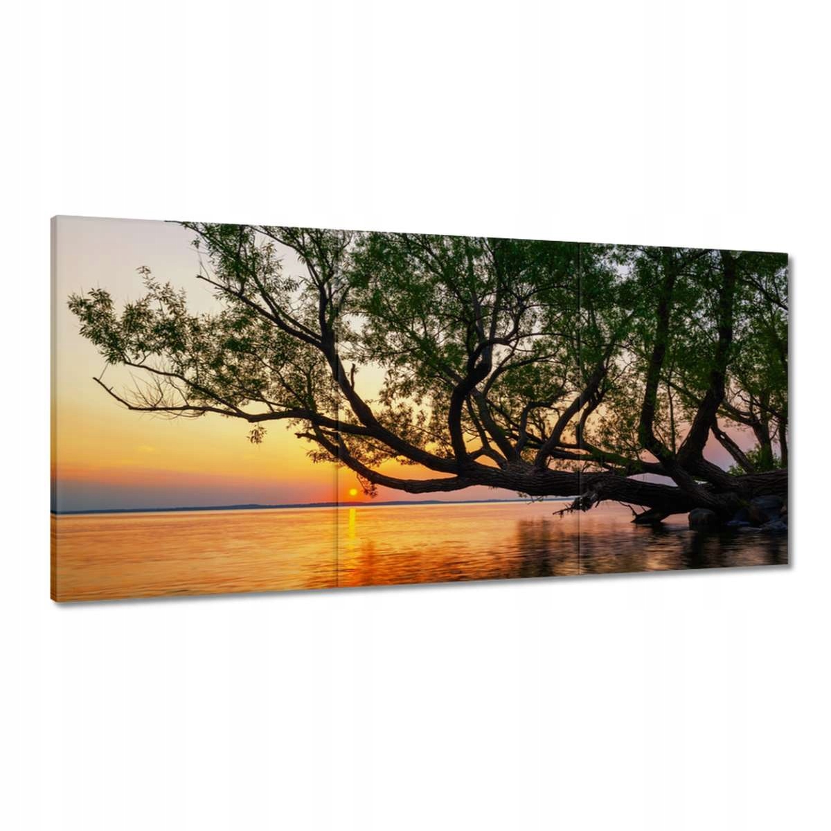 Obrazy 180x90 Strom Listy Jazero