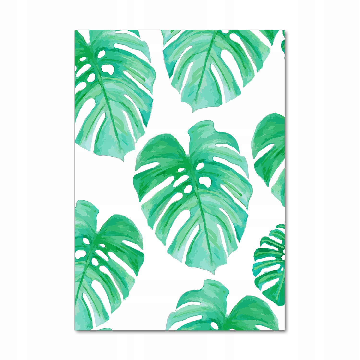 

Foto obraz akrylowy na ścianę Monstera 70x100 cm