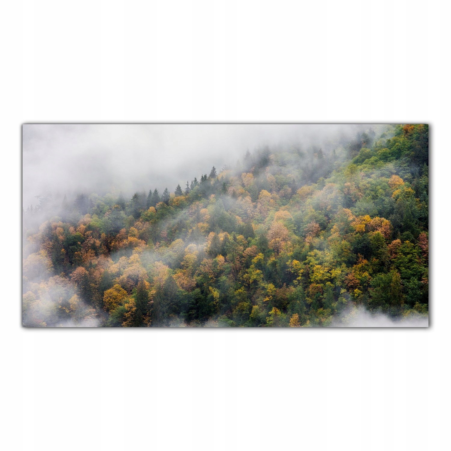 Podzimní Les Stromy 120x60 Sklo lacobel do kuchyně