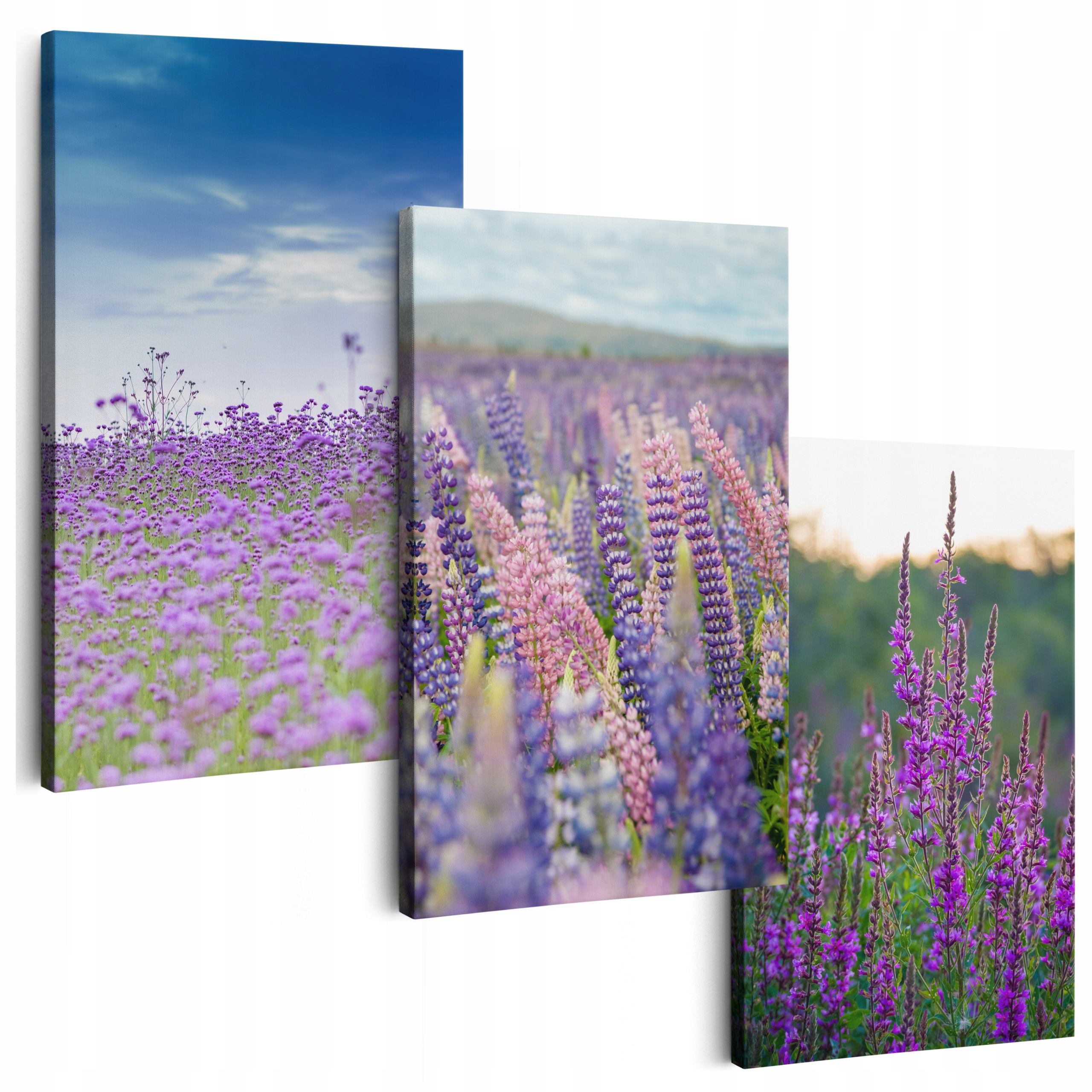 Obraz Na Plátne 180 cm **veľa vzorov** Obrazy Do Salónu Triptyki Kvety