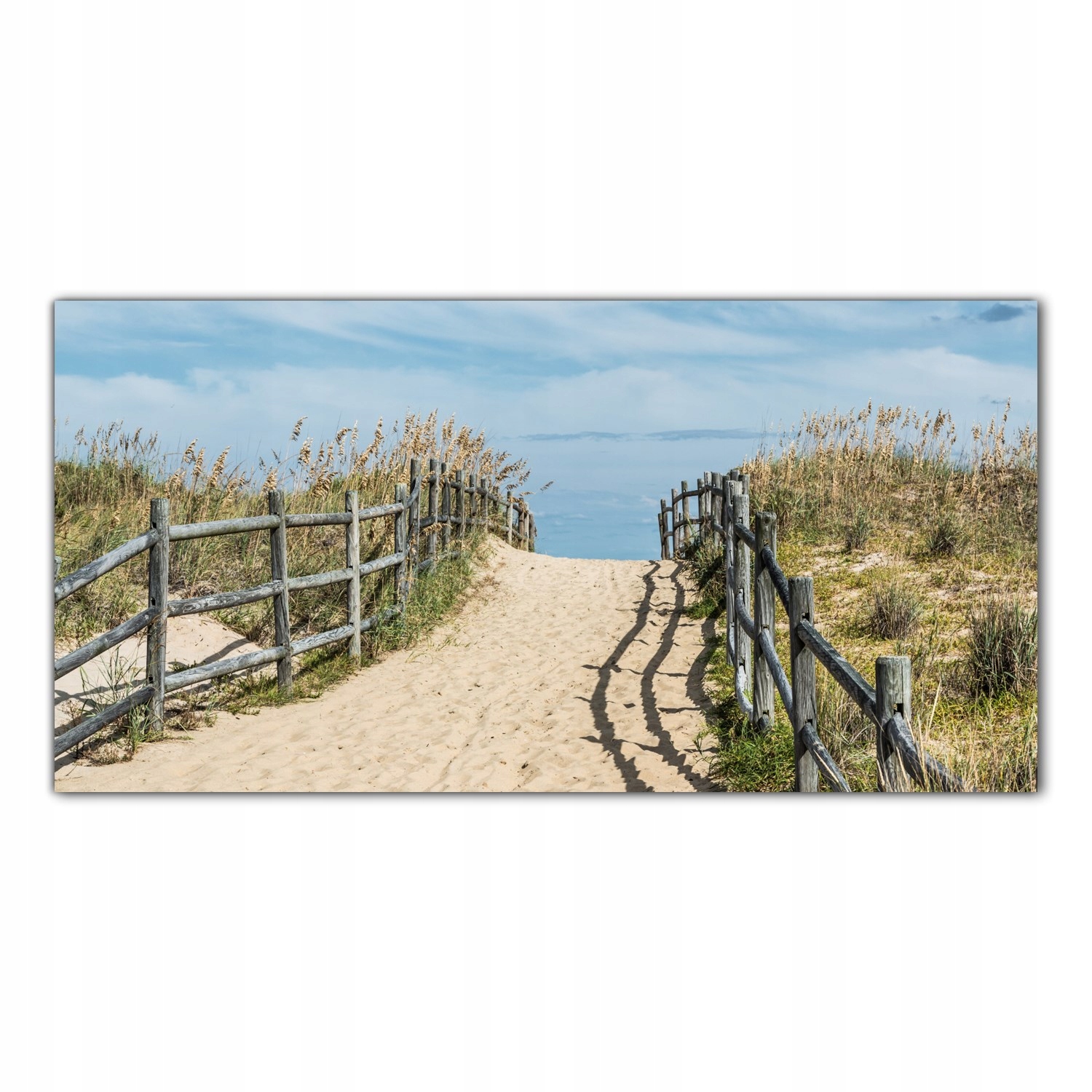 

Obraz na szkle Foto Plaża Wirginia Morze 120x60