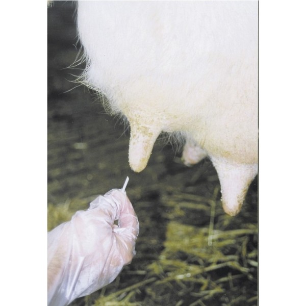 Dreny do strzyków 6 szt.