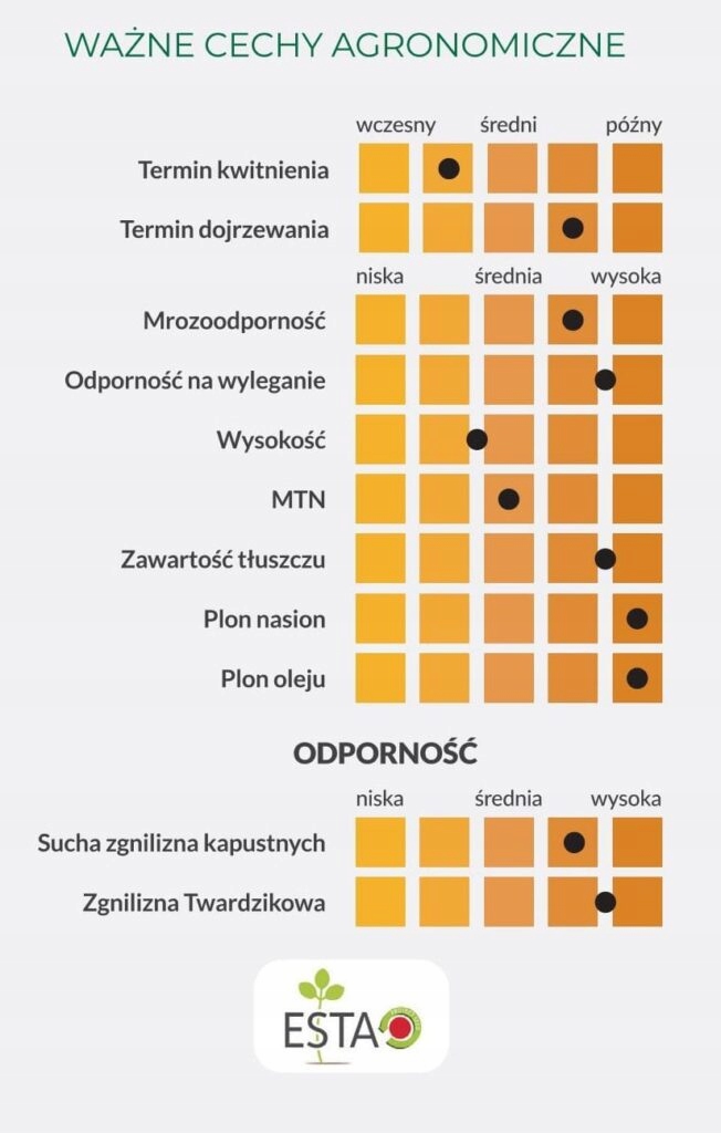 Rzepak ozimy Corida zapr. Scenic Gold Bardzo wysoki plon Kod producenta Corida