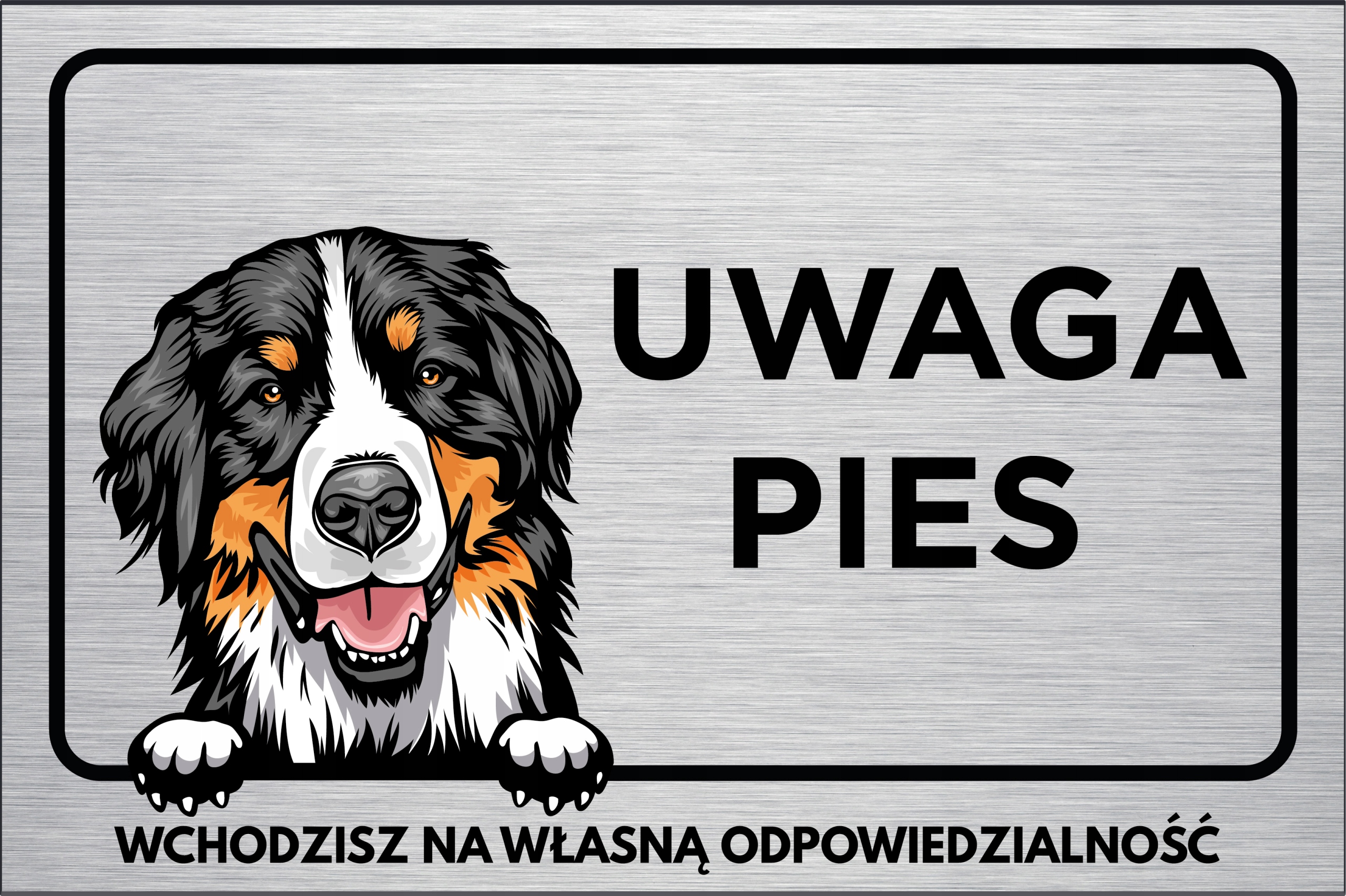 

Tabliczka Uwaga Pies berneński pies pasterski30x20