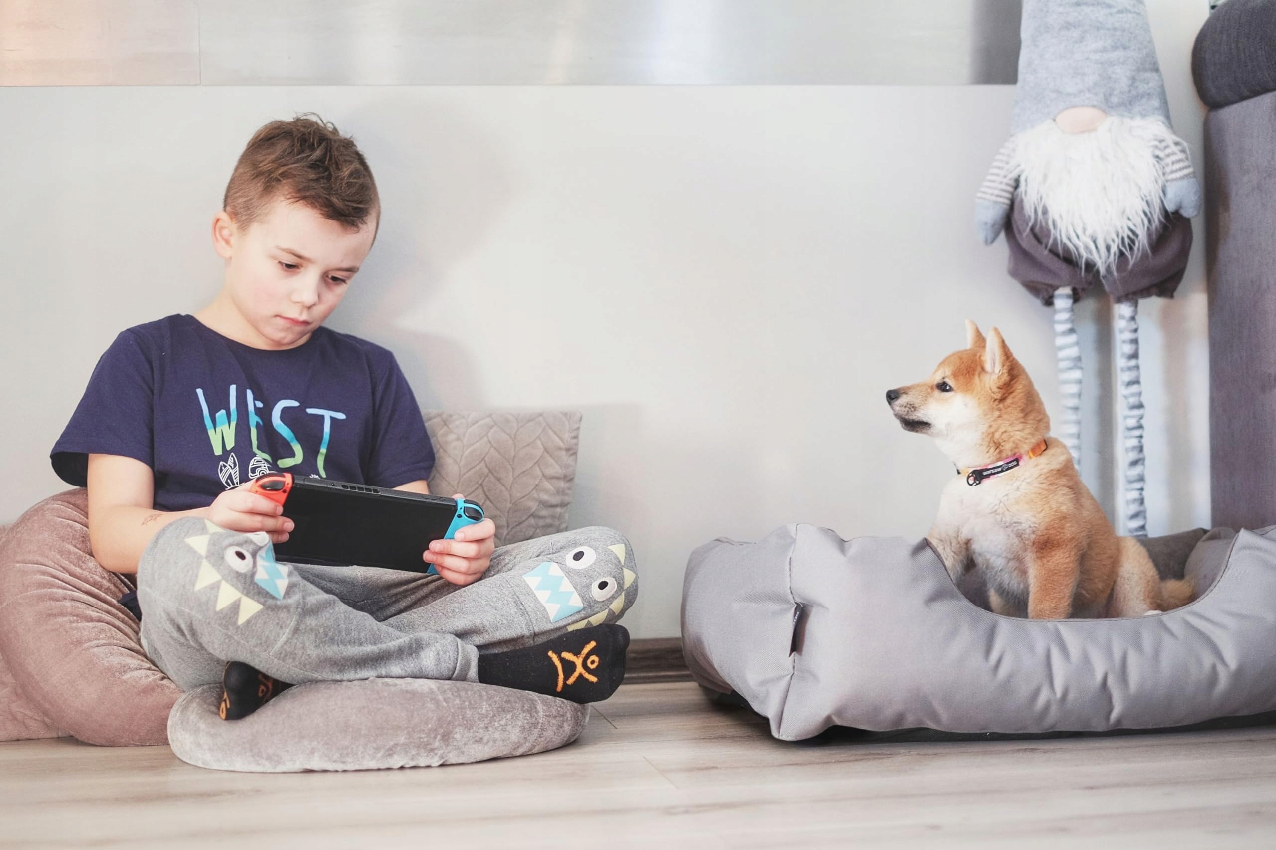 BEDDOG Legowisko Zara Dla Małych Psów Zdejmowany Prany Pokrowiec S BEŻ — miniatura 7