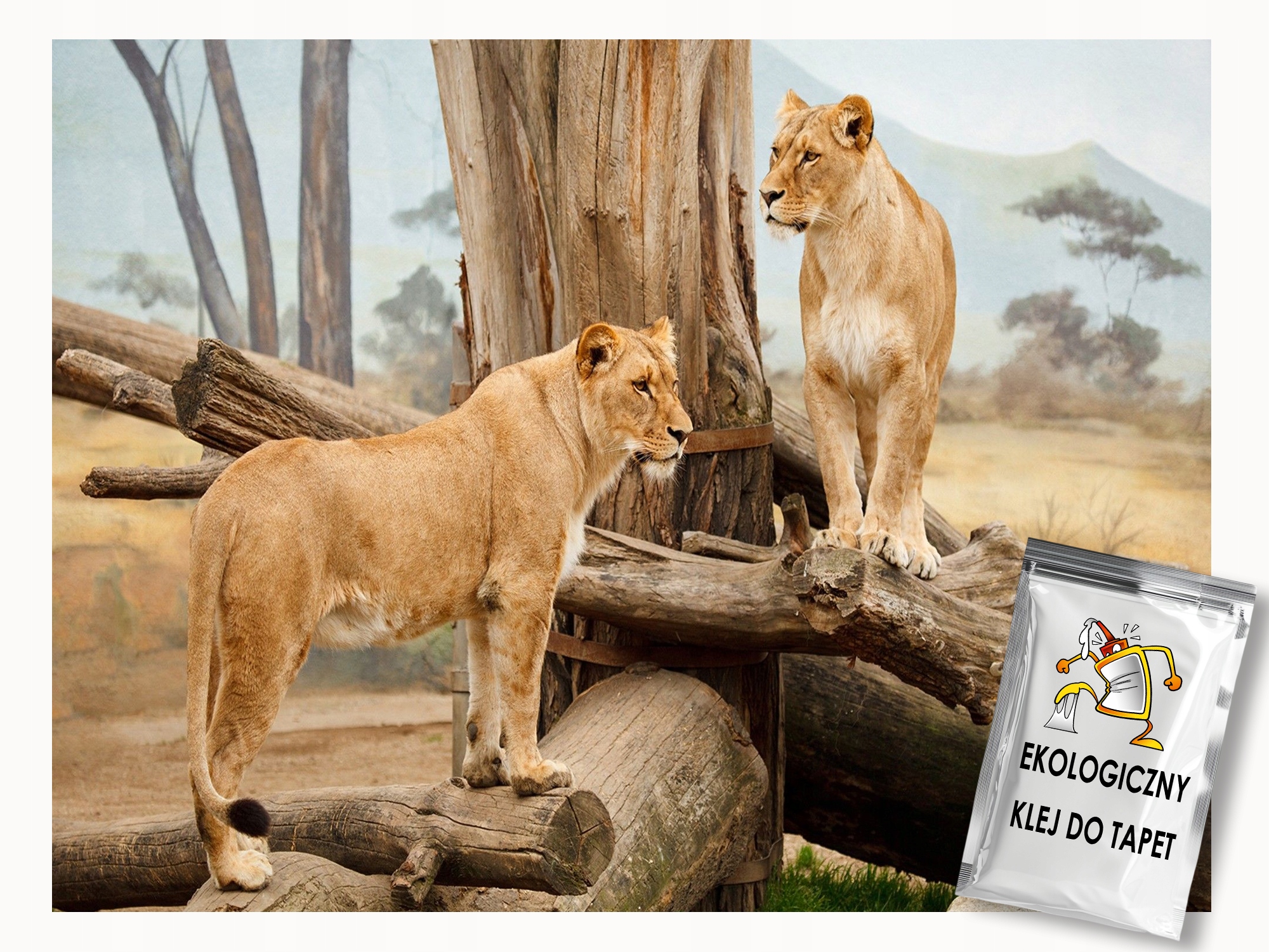 Vliesová fototapeta Divoká zvířata Lvice Safari Příroda 200x140 lepidlo