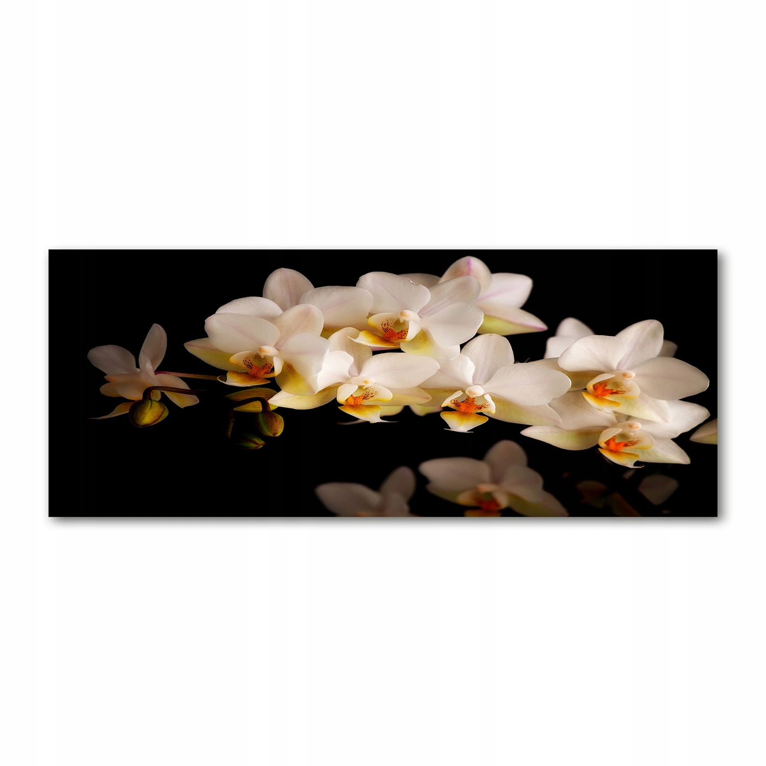 

Foto obraz duży akryl nowoczesny Orchidea 125x50cm