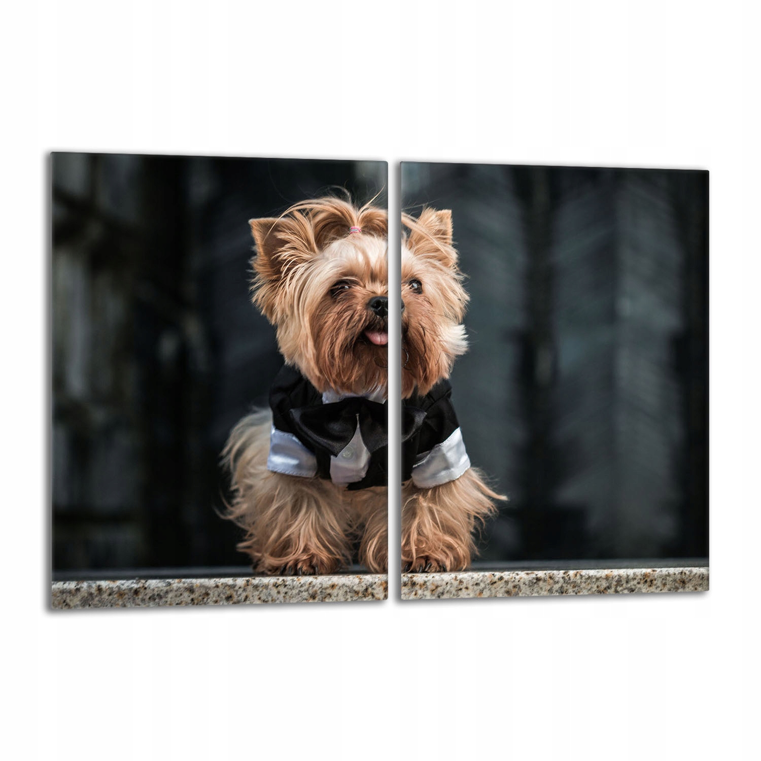 Skleněná ochranná deska na sporák 2x40x52 Pes Do Kuchyně