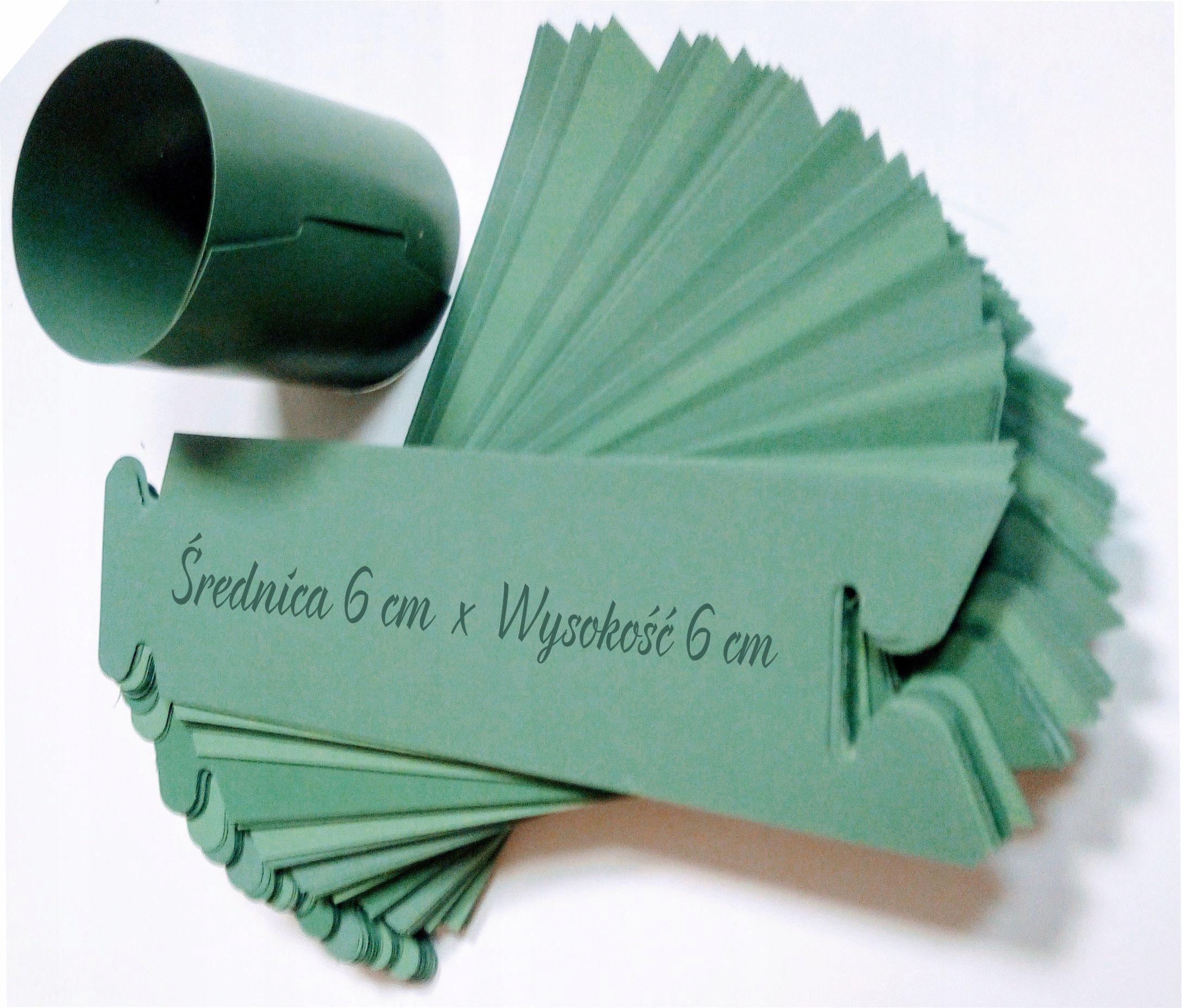 DONICZKI SPINANE PASKI rozsada WARZYW 6/6 - 0,17L