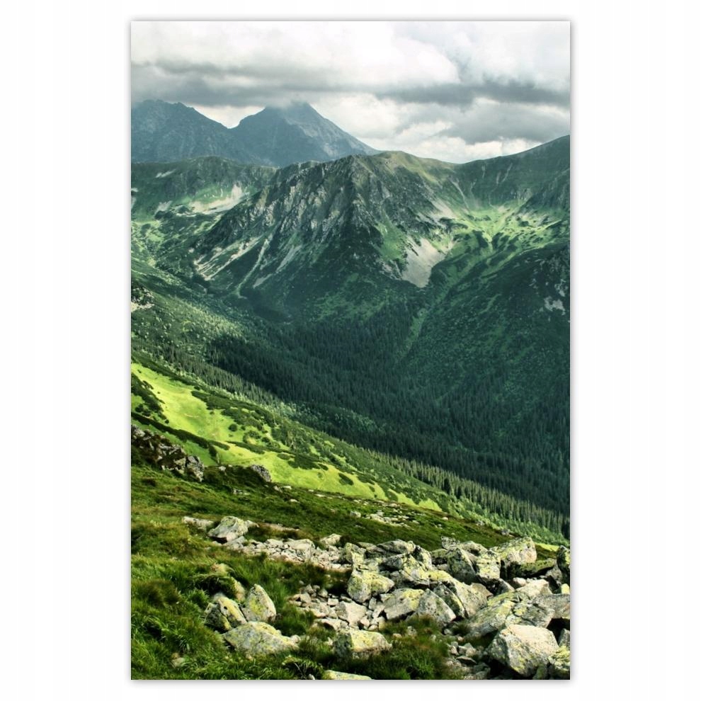 

Plakaty 40x60 Tatry Polskie góry Widok