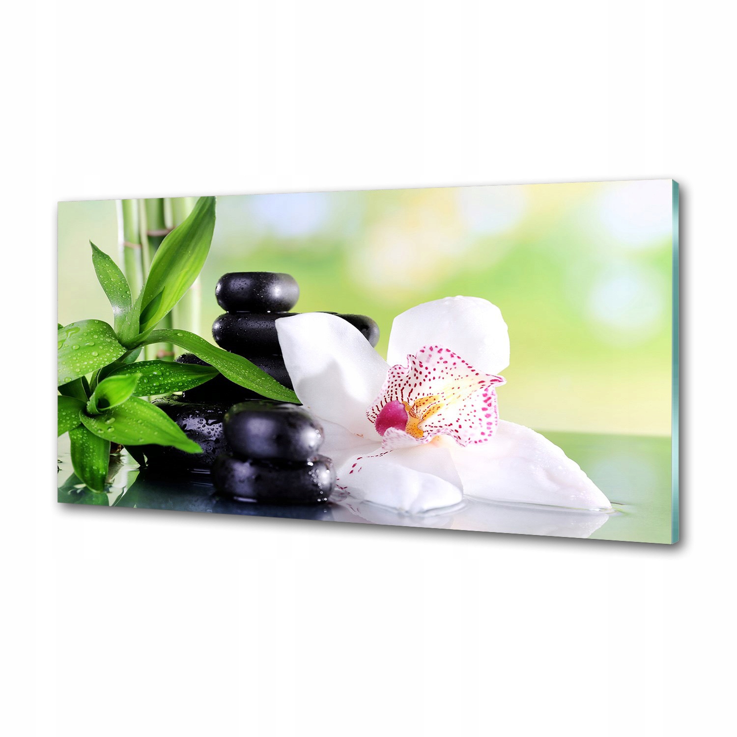 Panel medzi nábytkom v kuchyni Orchidea 100x50 Lepidlo