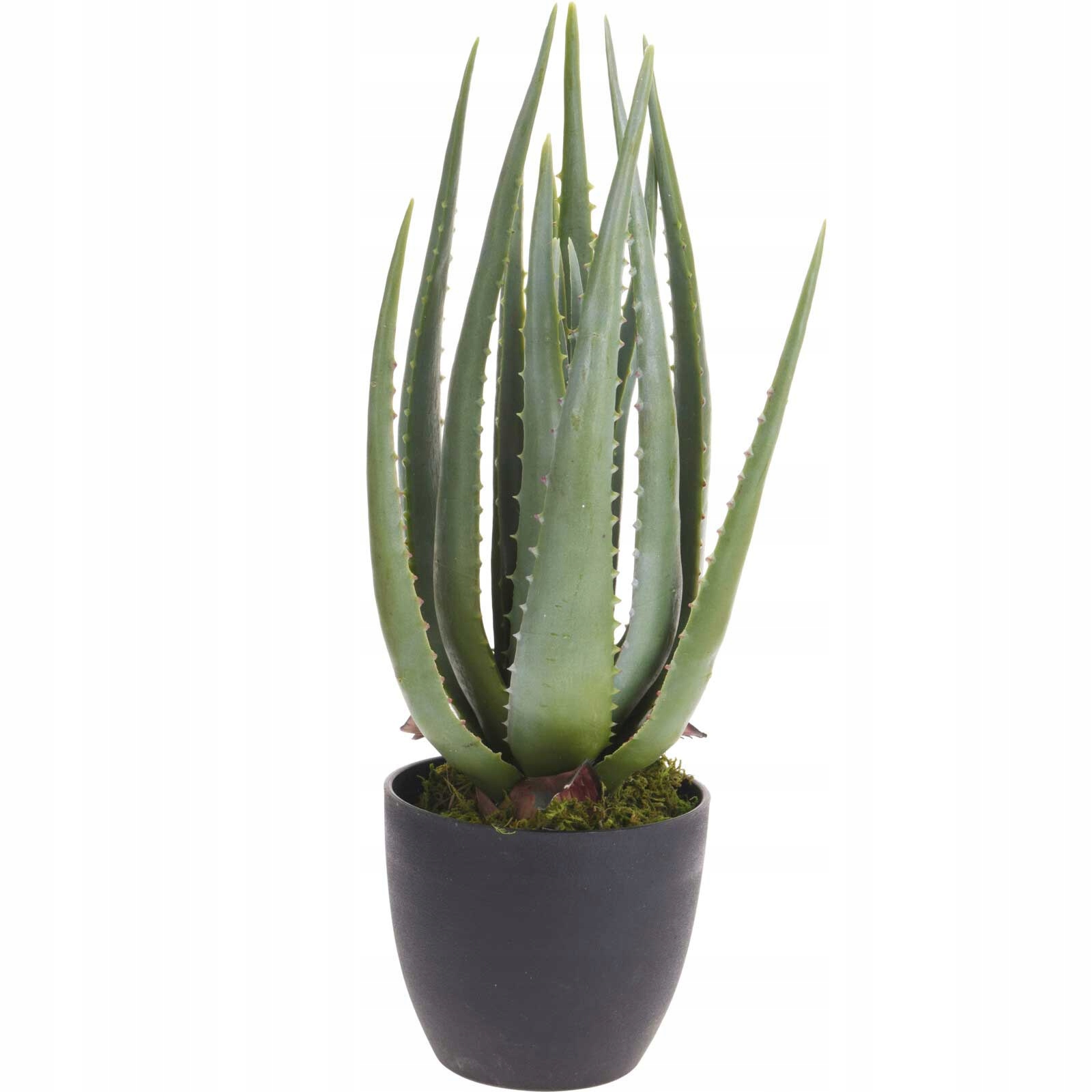 Umělý Aloe V Květináči Zelený Květináč 45 CM Na Parapet