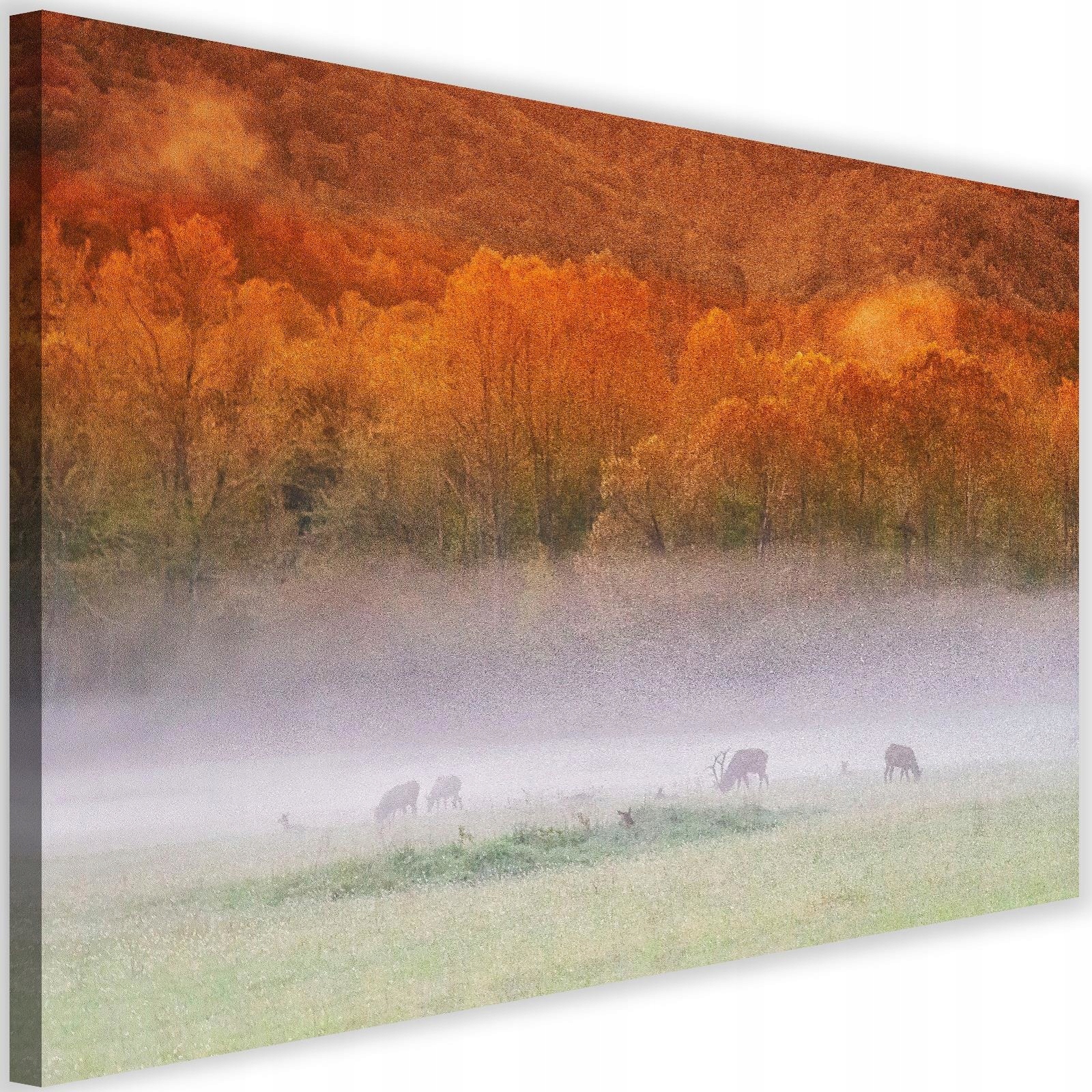 

Obraz Do Salonu Las Natura We Mgle Płótno 90x60